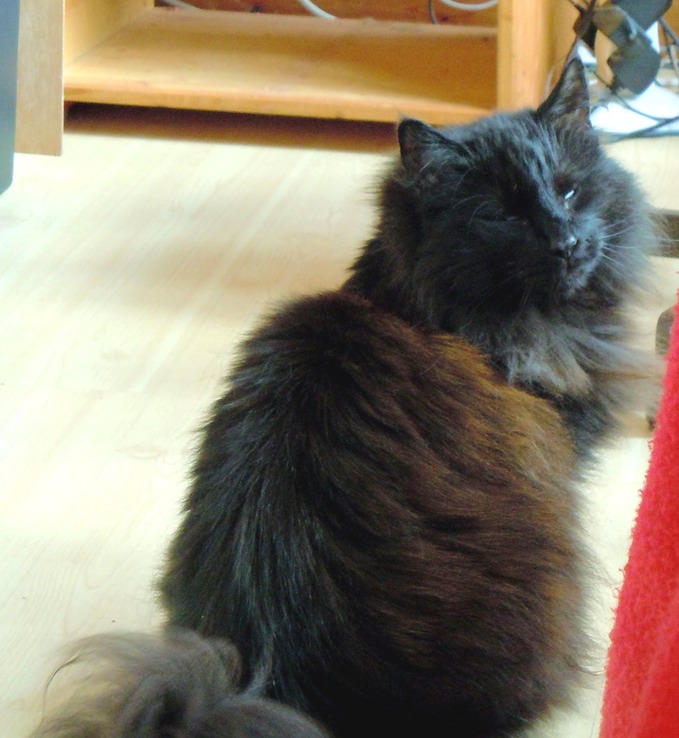 2011-07-01 0082-01-J Memla