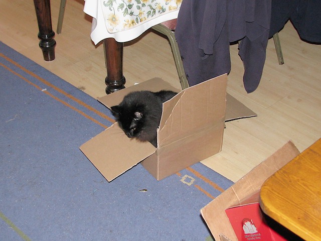 Memla 2007-12-12 38