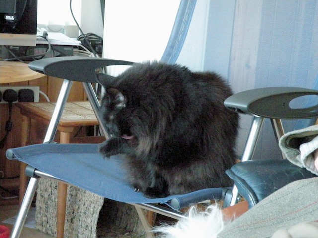 Memla 2009-05-14 576