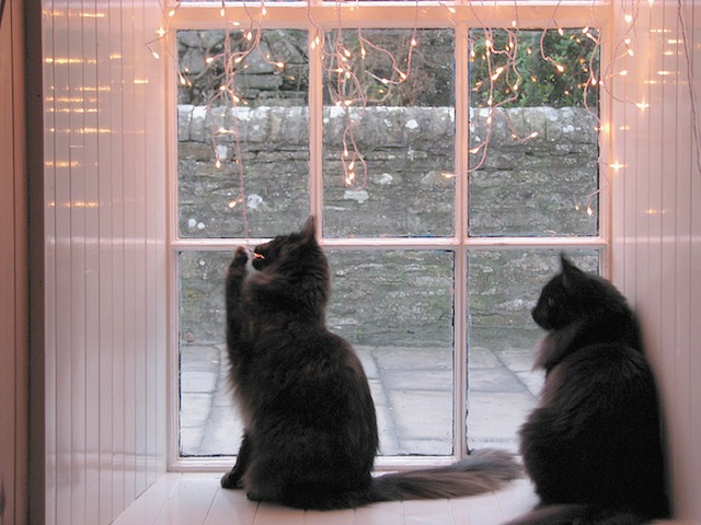 Memla & Ziza 2007-12-23 85