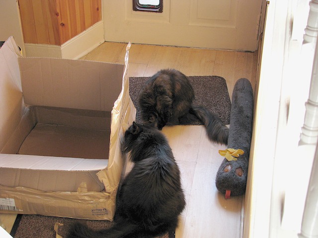 Memla & Ziza 2008-02-13 49