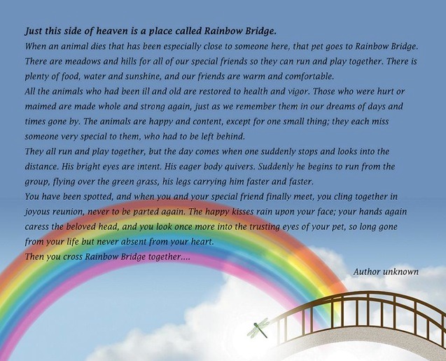 Rainbow Bridge Pets