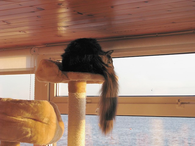 Ziza 2007-12-14 47