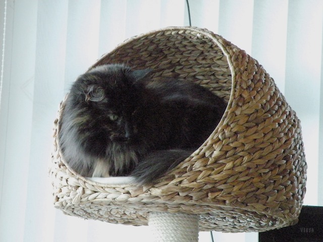 Ziza 2009-05-14 574